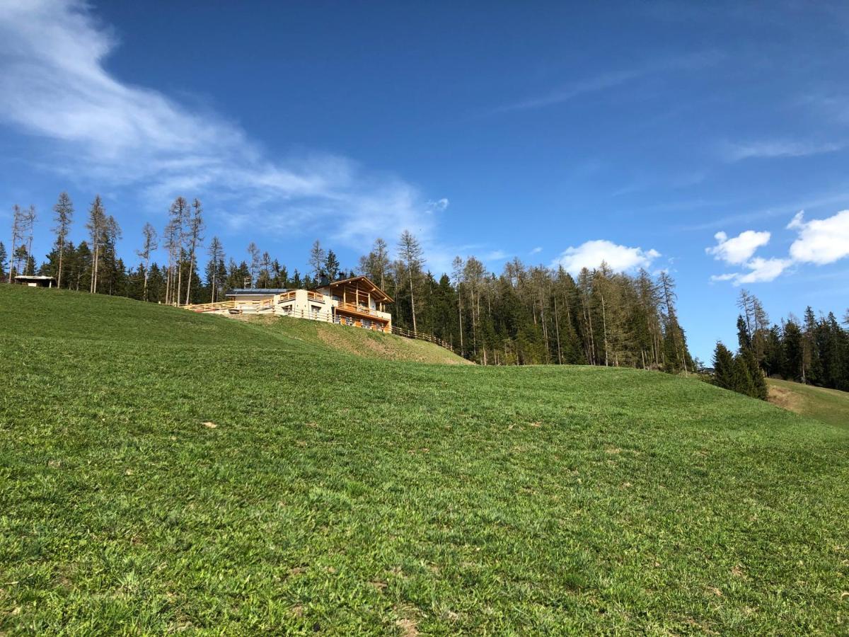 Alpinus Agriturism Apartment ซานมาร์ตีโน อิน บาร์เดีย ภายนอก รูปภาพ